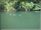 foto Lago del Corlo